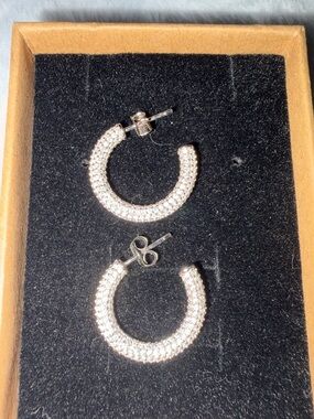 Moissanite Diamond Pave Hoop earrings in 925 Silver